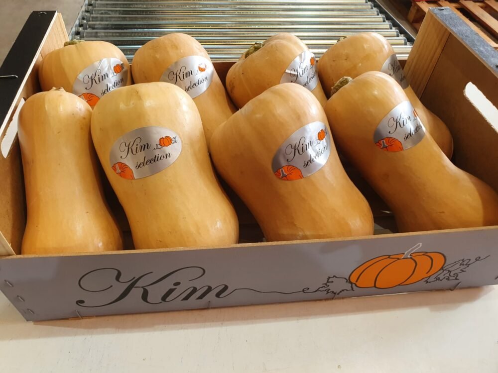 Carruecanos y Calabaza Butternut Calabaza De Asar Redonda