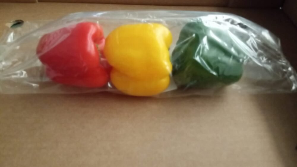 Pimiento, California Rojo, Verde y Amarillo - Imagen 5