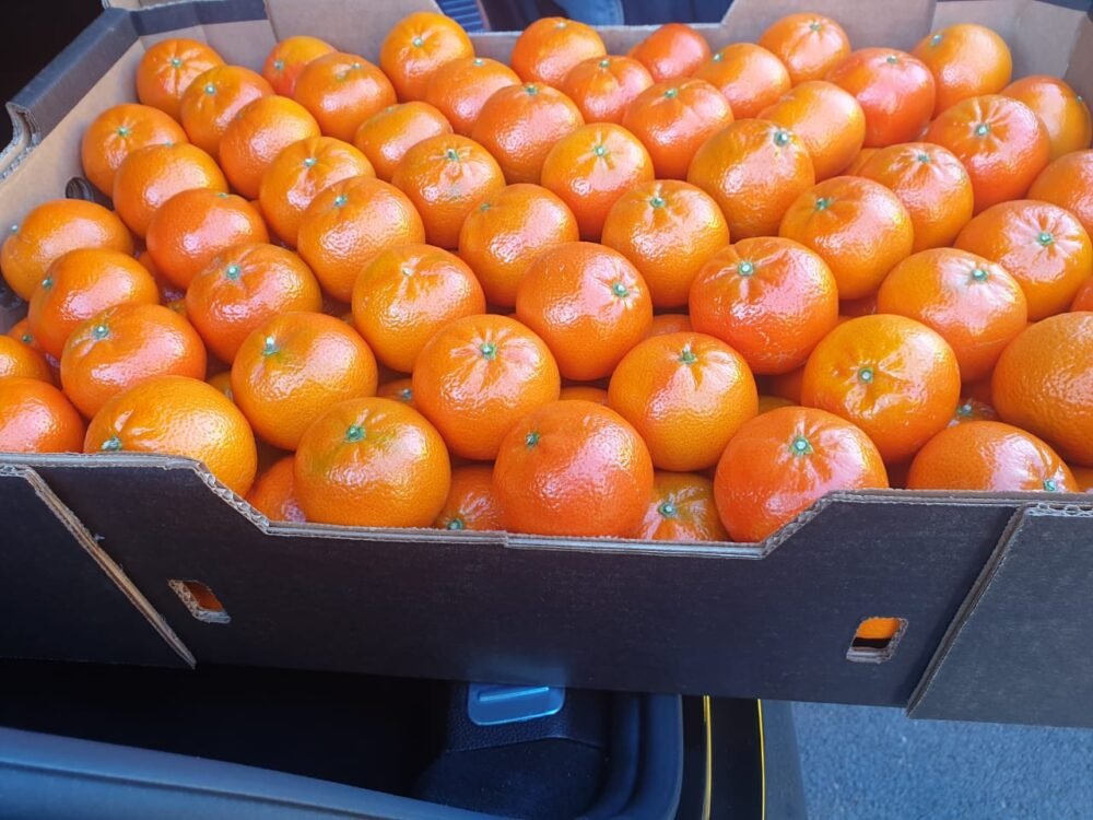 Mandarinas