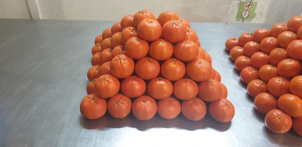 Mandarinas - Imagen 2
