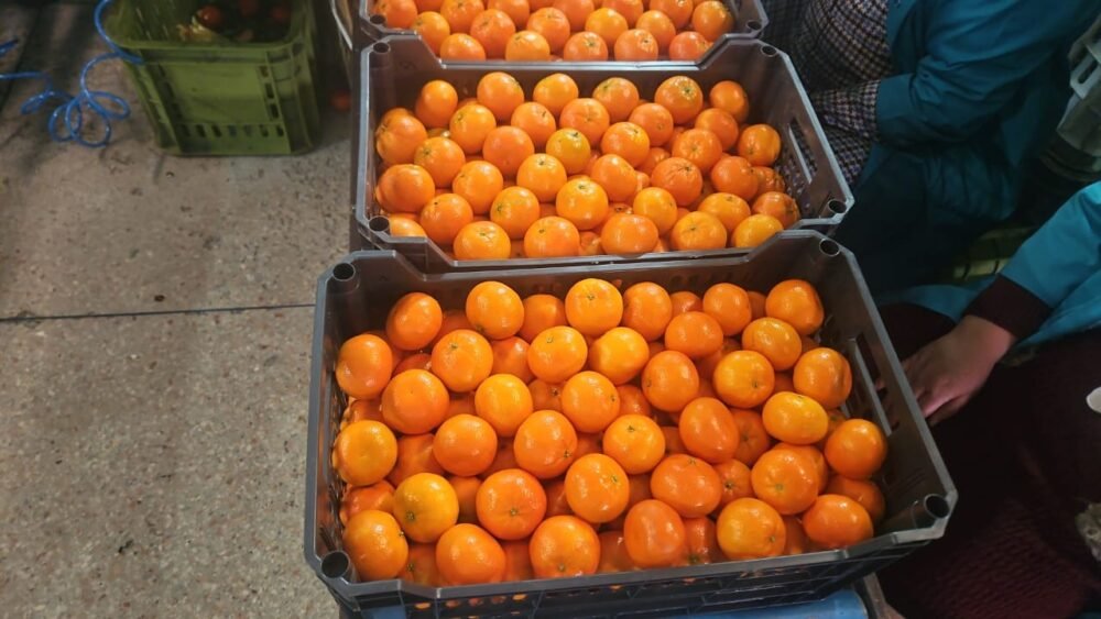 Mandarinas - Imagen 3